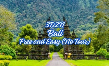 3D2N BALI PACKAGE  1: 3D2N BALI FLEXY
