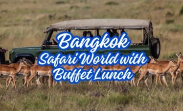 BANGKOK Safari World with Buffet lunch (Safari & Marine Park) (siam raft)